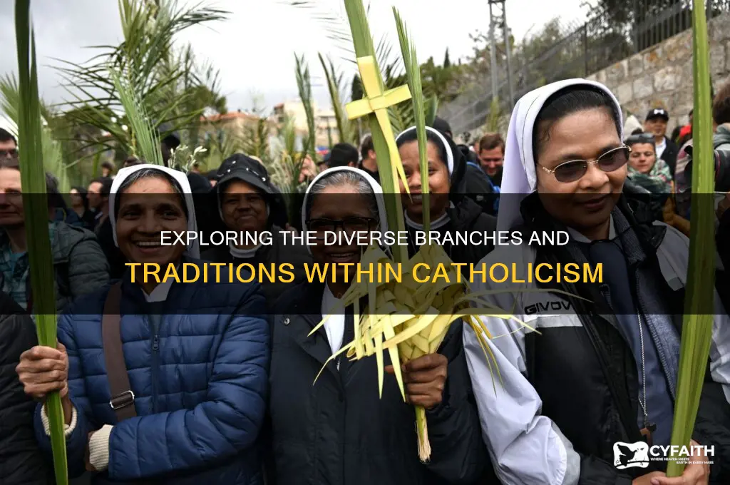 how many kinds of catholic