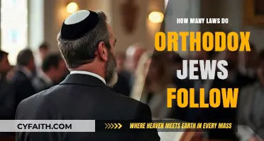 Understanding the Extensive Laws Observed by Orthodox Jews Daily