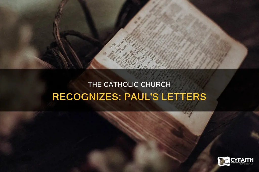 how many letters of paul according to catholic