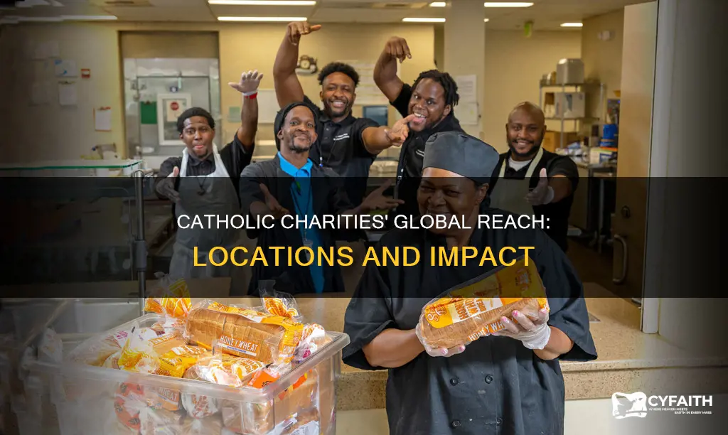 how many locations does catholic charities have