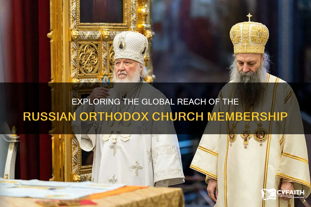 how many members does the russian orthodox church have