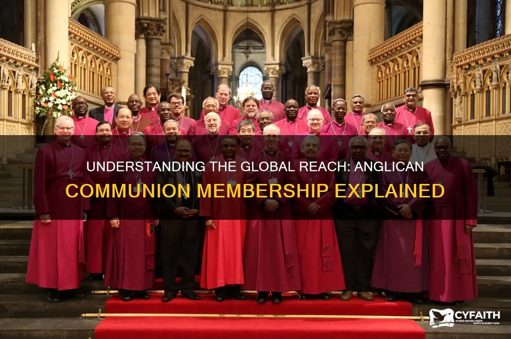 how many members in the anglican communion