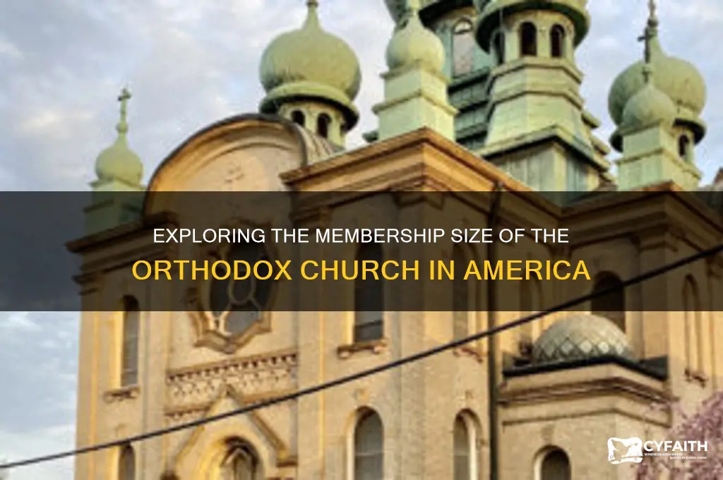 how many members in the orthodox church in america