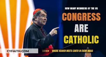 Catholic Representation in US Congress: Current Numbers and Trends