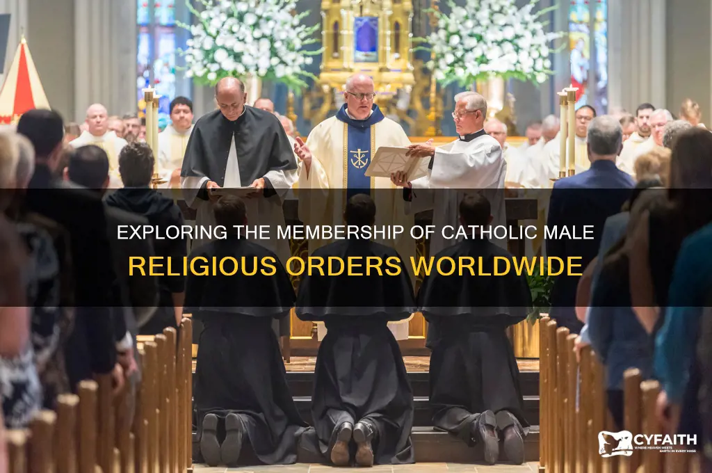 how many men are in catholic male religious orders