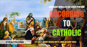 Jesus' Miracles in Catholic Tradition: Counting Divine Interventions