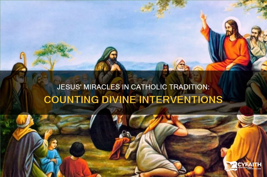 how many miracles did jesus perform according to catholic