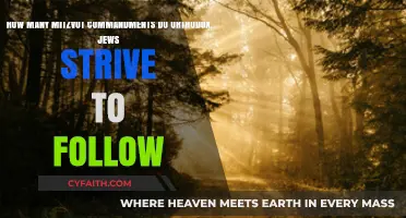 Orthodox Jewish Observance: Understanding the Scope of Mitzvot Commandments