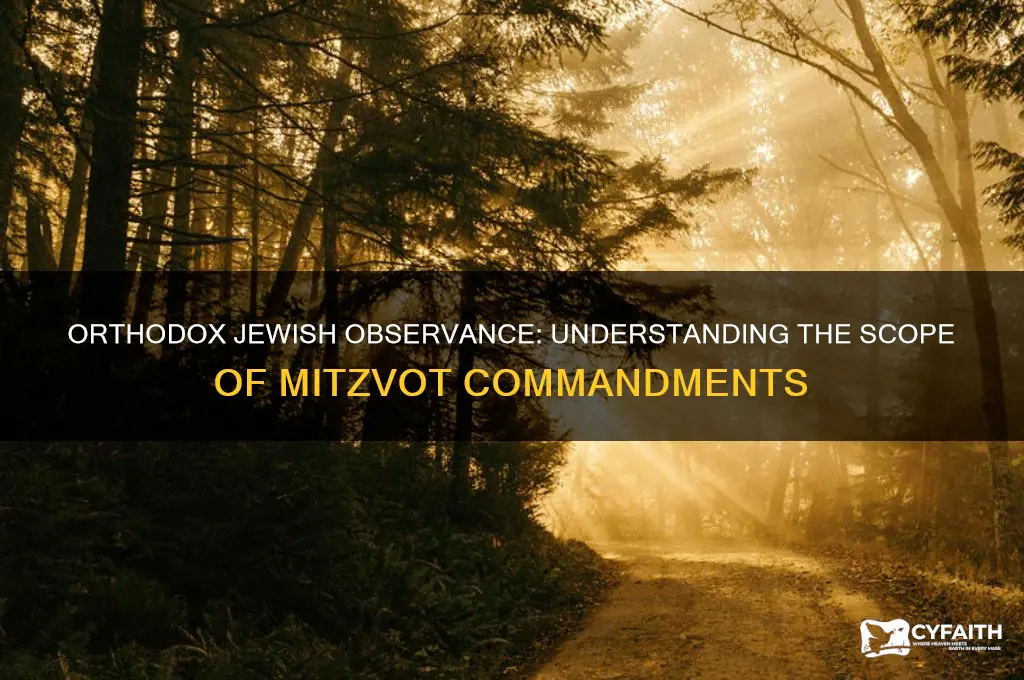 how many mitzvot commandments do orthodox jews strive to follow