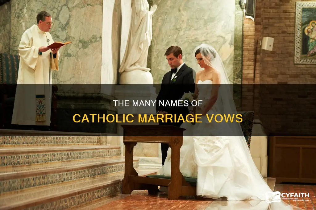 how many names for marriage vows catholic