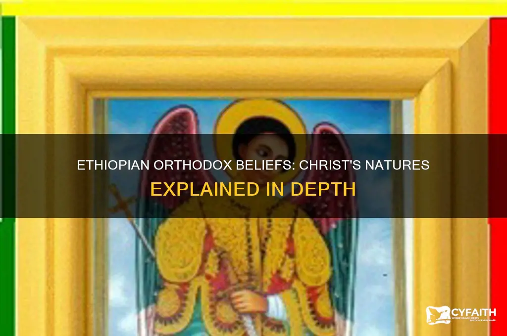 how many natures do the ethiopian orthodox believe christ was