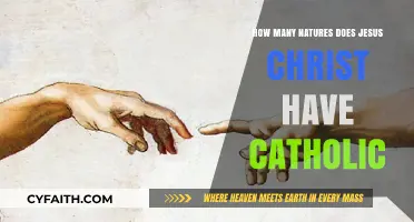 Christ's Dual Nature: Catholic Understanding Explained