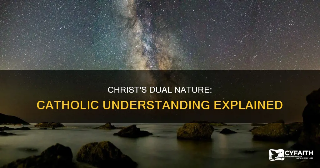 how many natures does jesus christ have catholic