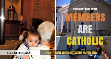 Catholic Representatives: New House Members' Religious Affiliation