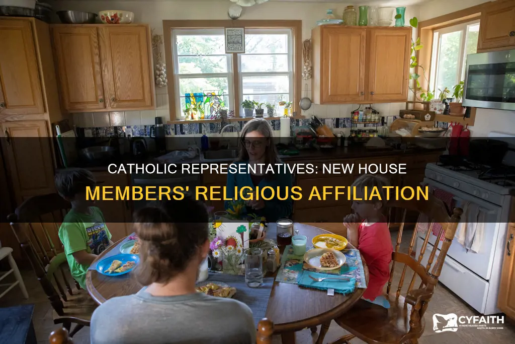 how many new house members are catholic