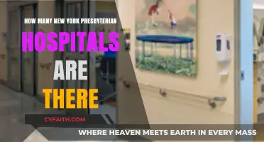 Exploring the Network: New York Presbyterian Hospitals Count Revealed
