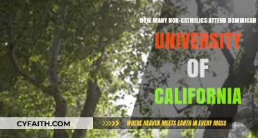 Diverse Faiths at Dominican University of California: Non-Catholic Attendance Trends