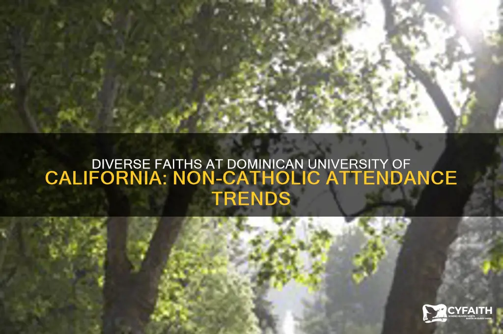 how many non-catholics attend dominican university of california