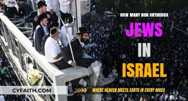 Diverse Jewish Identities: Exploring Non-Orthodox Jews in Israel Today