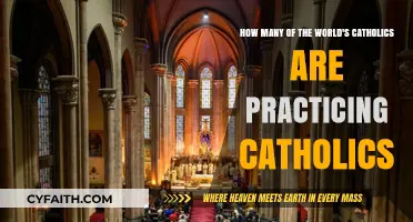 Practicing Catholics: Understanding Global Devotion and Participation Trends