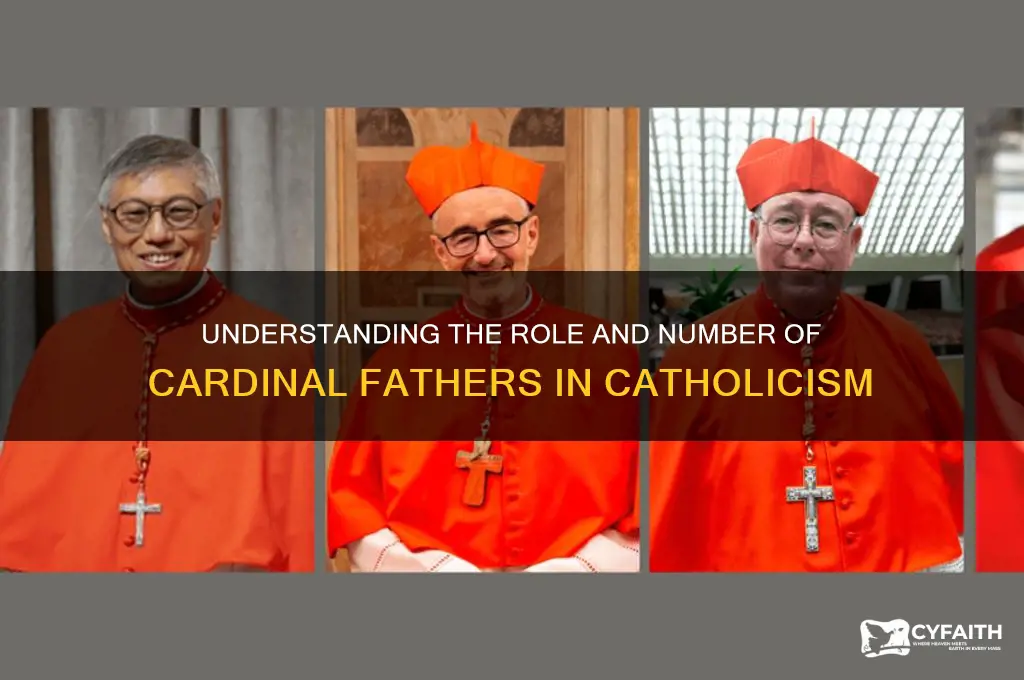 how many ordane fathers are in the catholic religion