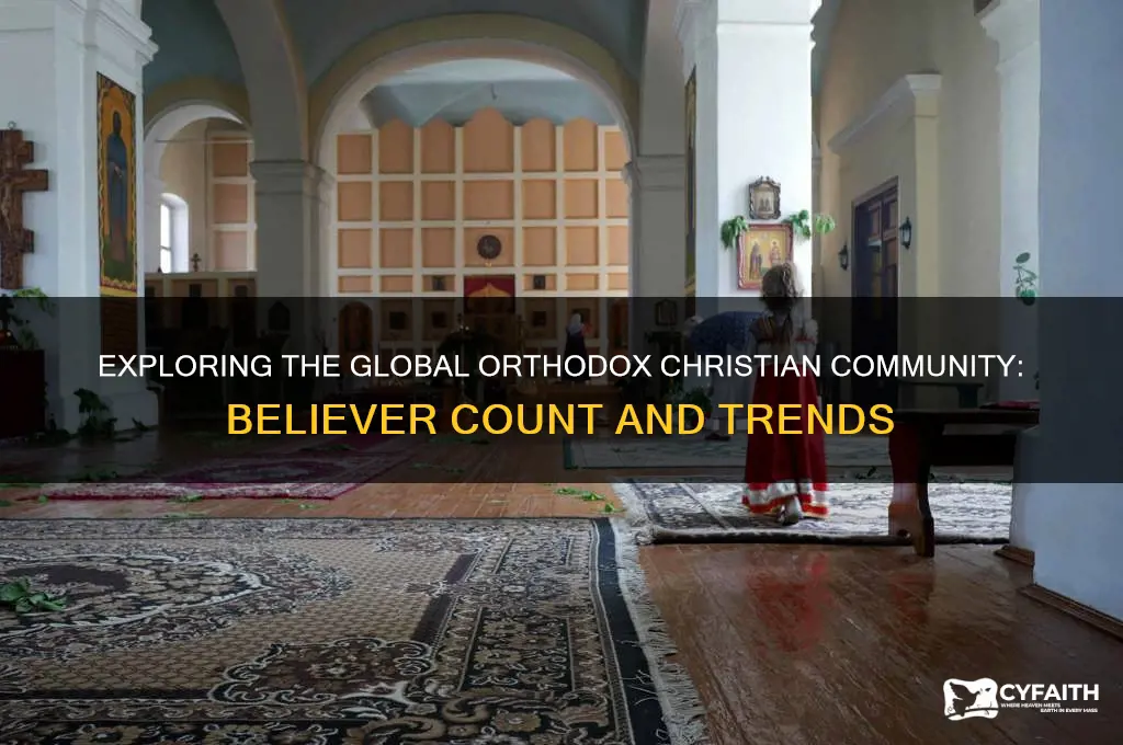 how many orthodox christian believers