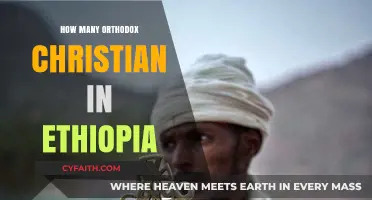 Ethiopia's Orthodox Christian Population: Size, Significance, and Cultural Impact