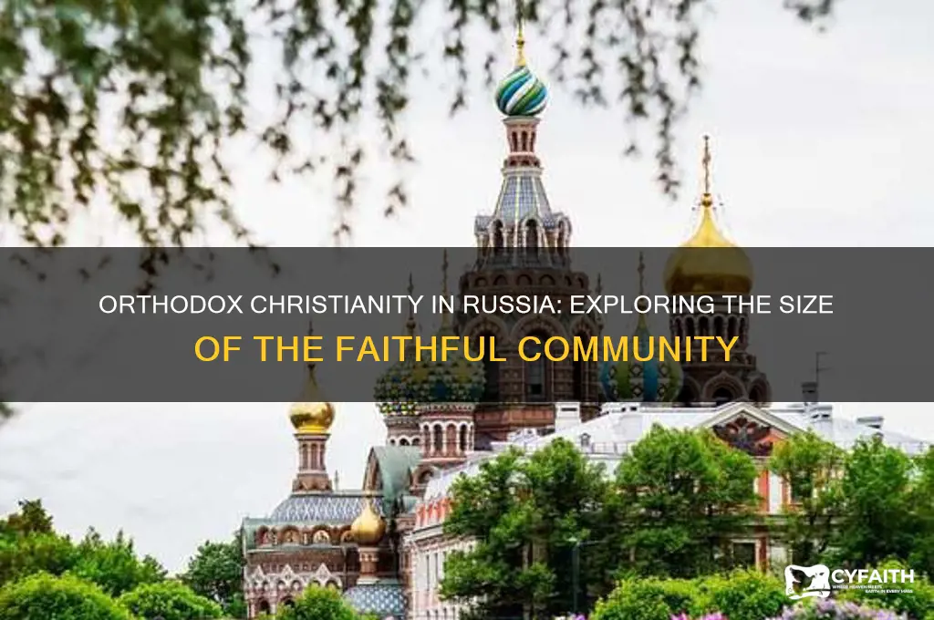 how many orthodox christian in russia
