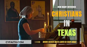 Exploring the Orthodox Christian Community in Texas: Population Insights