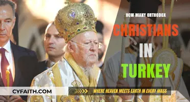 Turkey's Orthodox Christian Population: A Historical and Modern Perspective