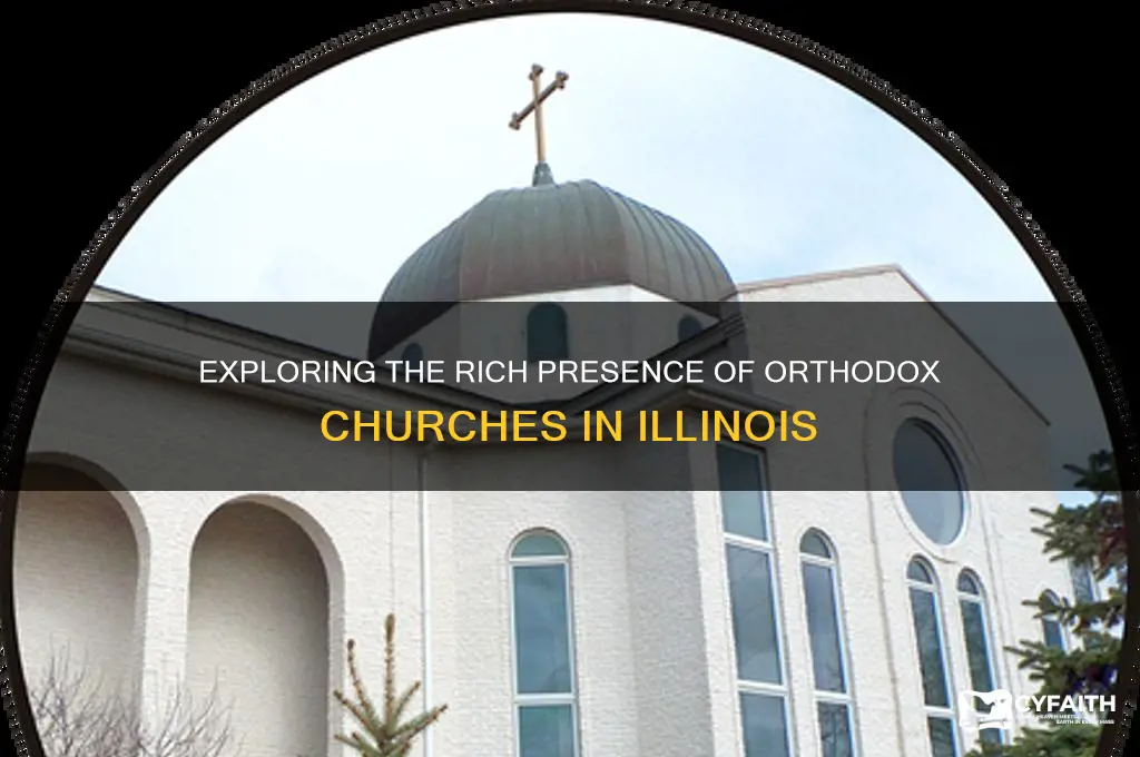 how many orthodox churches in illinois