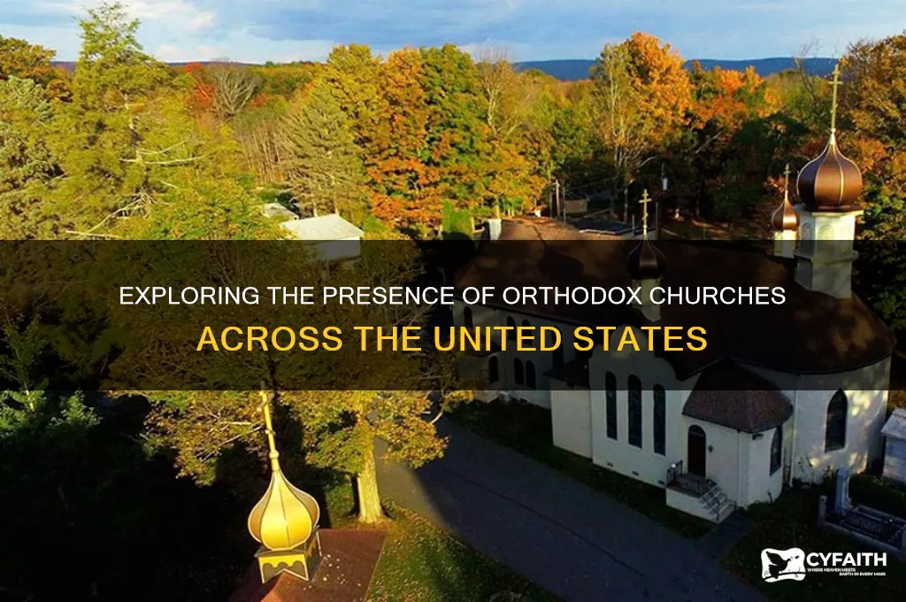 how many orthodox churches in the us