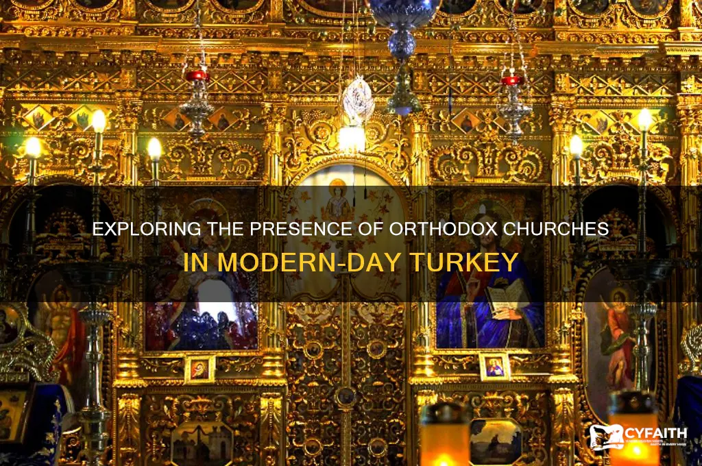 how many orthodox churches in turkey