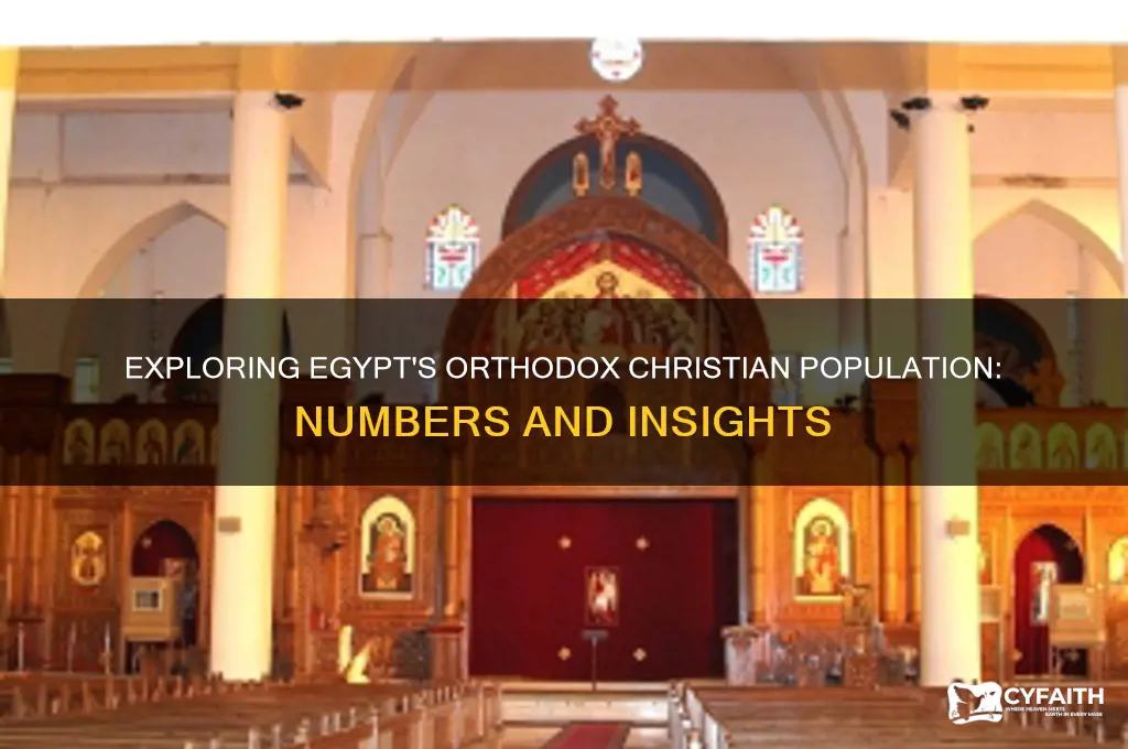 how many orthodox in egypt