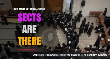 Exploring the Diversity of Orthodox Jewish Sects and Communities
