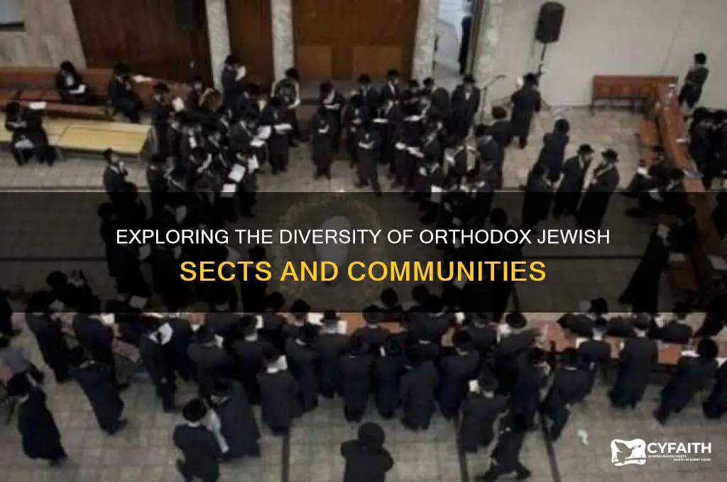 how many orthodox jewish sects are there