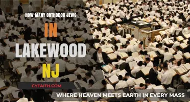 Lakewood NJ's Orthodox Jewish Population: Size and Community Insights