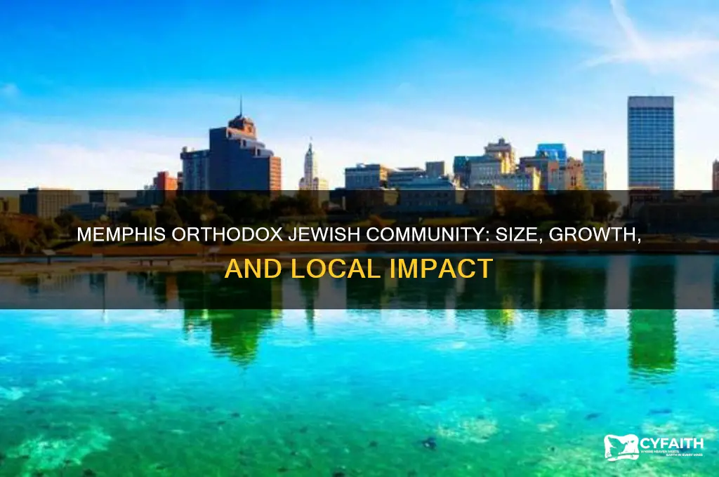 how many orthodox jews in memphis