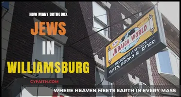 Exploring Williamsburg's Orthodox Jewish Population: Size and Community Insights