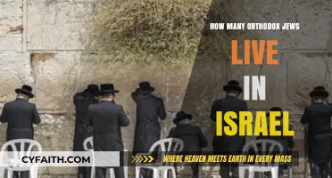 Orthodox Jewish Population in Israel: Current Demographics and Trends