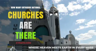 Exploring the Diversity of Orthodox National Churches Worldwide