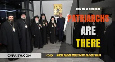 Exploring the Number of Orthodox Patriarchs in Christianity Today