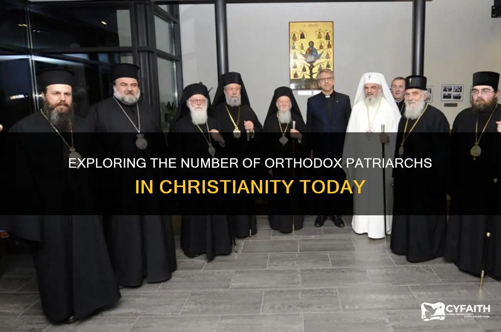 how many orthodox patriarchs are there