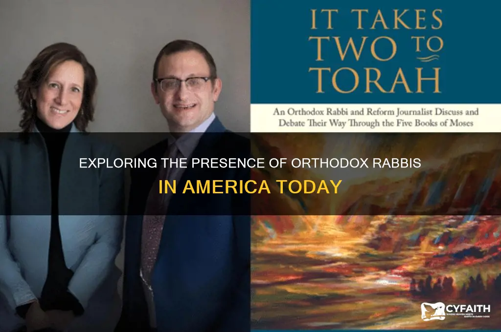 how many orthodox rabbis in america