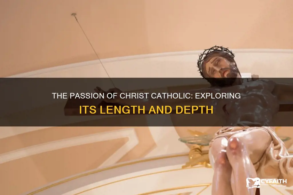 how many pages is the passion of christ catholic
