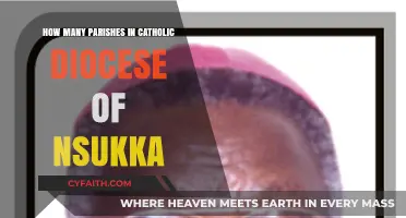 The Catholic Diocese of Nsukka: Parishes Explored
