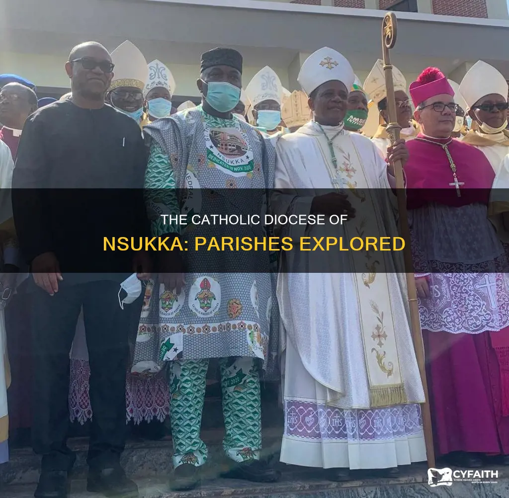 how many parishes in catholic diocese of nsukka