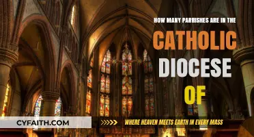 Exploring the Catholic Diocese: Parish Count and Community Insights