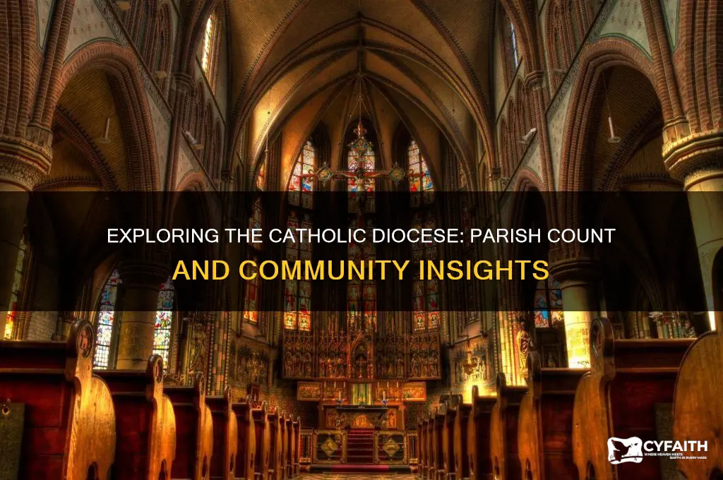 how many parrishes are in the catholic diocese of