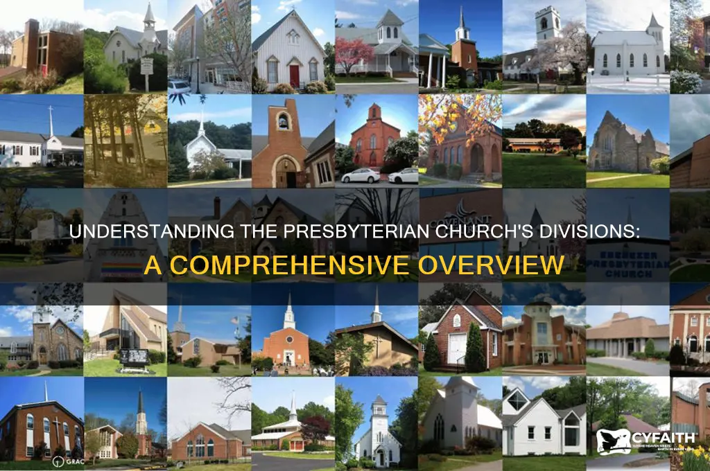 how many parts is the presbyterian church divided into